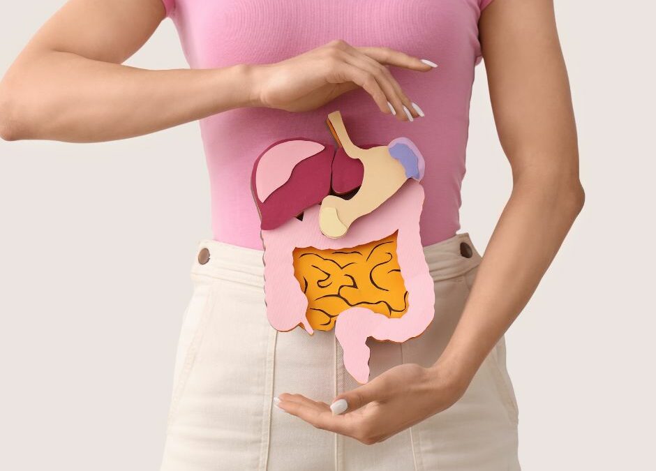 mujer mostrando de frente una maqueta del sistema digestivo