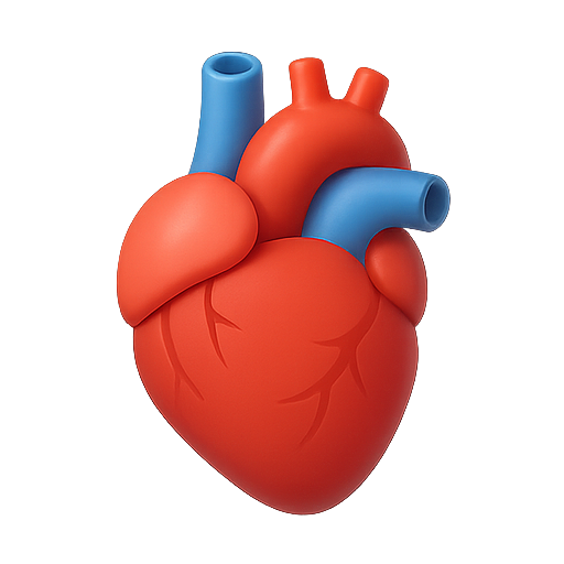 icono de corazon anatomico