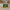 Geonat Aceite De Pescado Omega 3 Colesterol X 60 Cápsulas Sabor No Sin Sabor