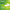 Suplemento Nature's Bounty Probioticos ACDPHL 120 Tabletas